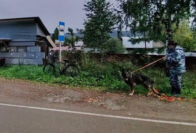 Житель Красноярского края помог спасти заблудившегося в лесу грибника
