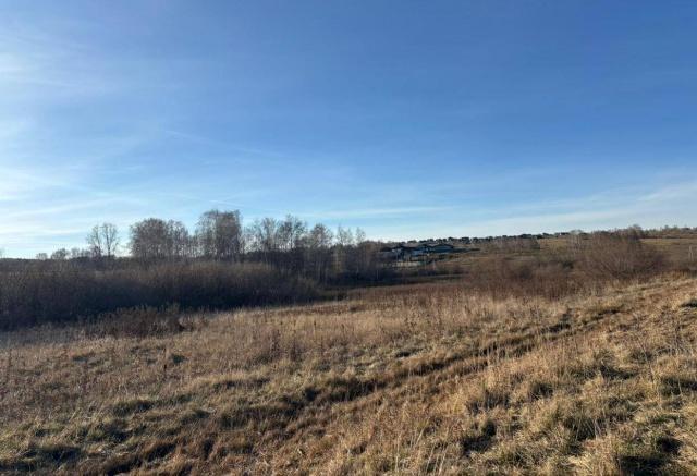 Семье погибшего от укусов собак мальчика в СНТ «Теремок» назначили компенсацию