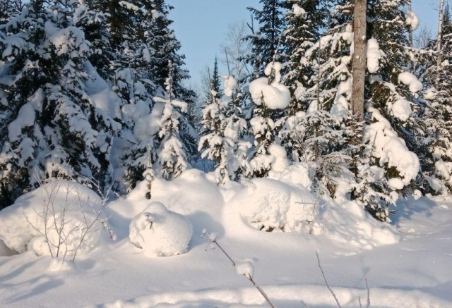 От +4°C до -19°C: небольшие температурные качели и снег прогнозируют в Красноярске