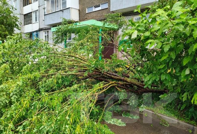 Деревья падали на машины и дома: красноярцы показали последствия непогоды