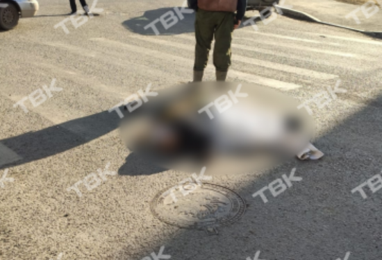 В Красноярске мусоровоз на «зебре» сбил женщину и ребенка
