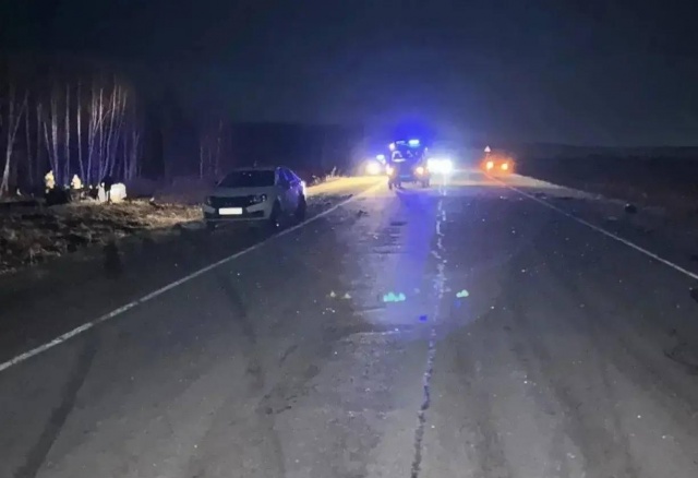 Lada врезалась в лошадь в Шарыповском округе: три человека погибли