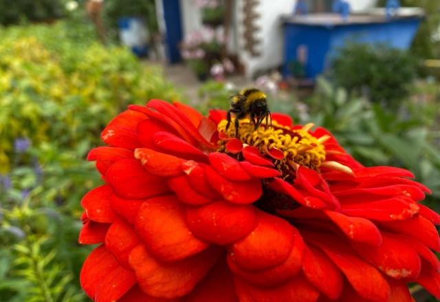 До +32°C: прогноз погоды на длинные июньские выходные в Красноярске