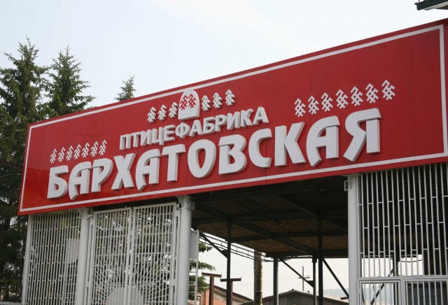 Карантин объявили на территории птицефабрики в Красноярском крае