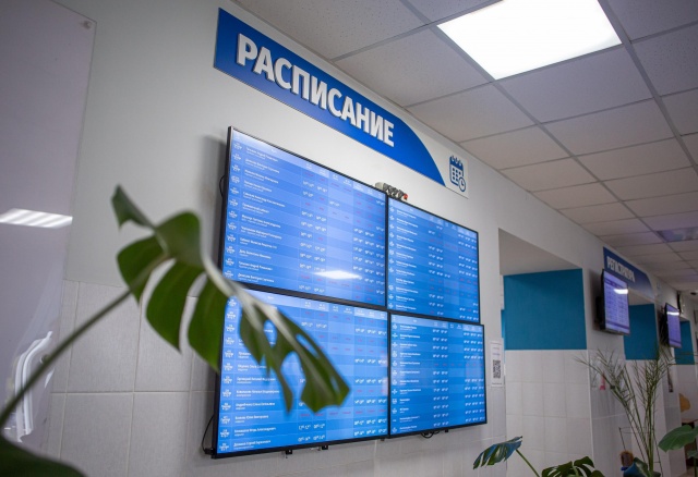 Запись к врачу второй день не работает через «Госуслуги» в Красноярском крае