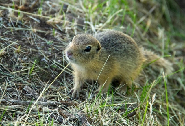Выходные в Красноярске будут жаркими и без дождя: прогноз погоды
