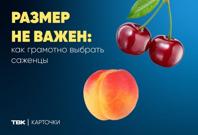 Как правильно выбрать саженцы: советы