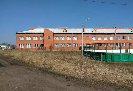 «Втроем на одного»: группа подростков избила семиклассника в школе под Красноярском 