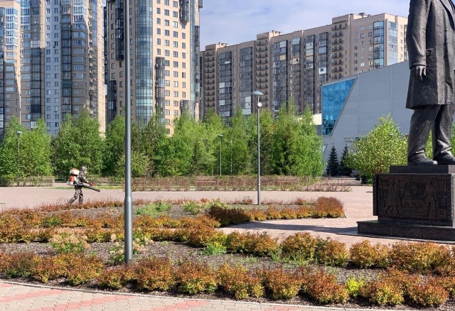 6 парков и скверов обработают от клещей в Красноярске